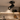 Indoor Spotlights