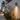 Adjustable Outdoor GU10 Wall Spotlight IP65 | Titanium | Reno