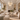 6 Light Crystal Tiered Chandelier | Fenton