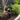 Thorn 3W LED Garden Spike Light | Daylight IP65 | 3000K