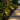 Thorn 12W LED Garden Spike Light 3CCT – IP65