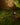 Rilto 24V LED Garden Spike Light - in2 Lighting Australia